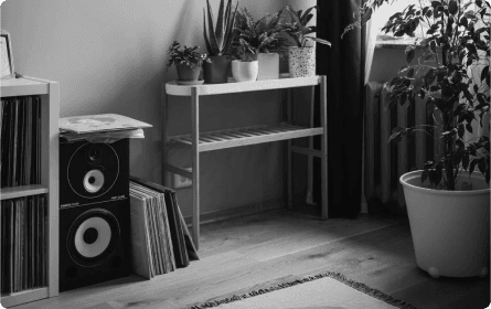 Sample images for zx9 speaker